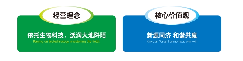 企业文化