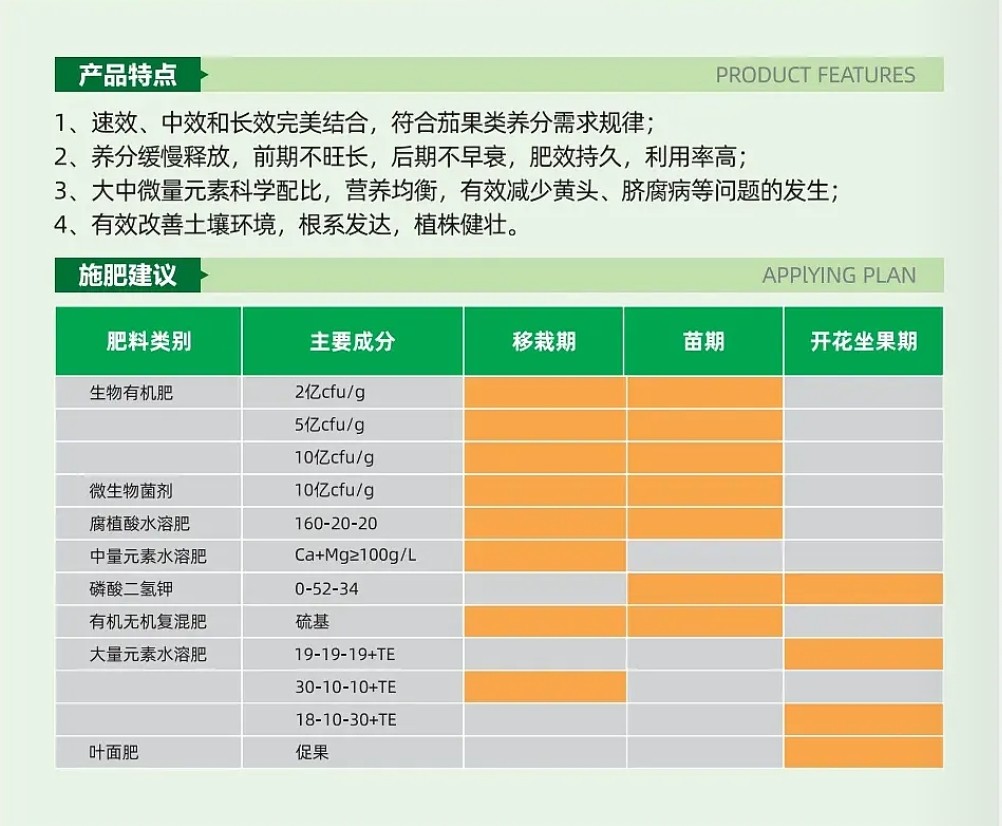 西红柿1